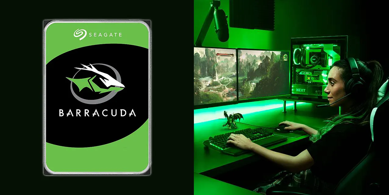 DISCO DURO BARRACUDA DE 3,5 PULGADAS